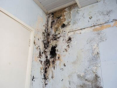 About Tall Timbers MD Water Damage Restoration Pros - water damage restoration experts in Tall Timbers